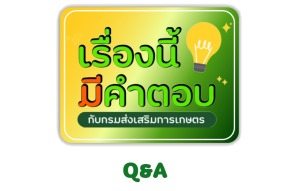 Q&A