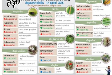 กิจกรรมจิตอาสาพัฒนาสิ่งแวดล้อมและบำเพ็ญสาธารณะประโยชน์