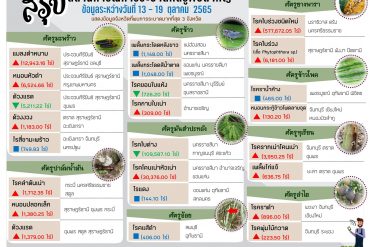 การปลูกผักในพื้นที่จำกัด