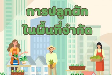สถานการณ์ระบาดศัตรูพืชสำคัญ (ข้อมูลระหว่างวันที่ 13 – 19 ตุลาคม 2565)