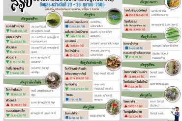 (ร่าง) ประกวดราคาจัดซื้อรถบรรทุก (ดีเซล) ขนาด 1 ตัน ปริมาตรประบอกสูบไม่ต่ำกว่า 2,400 ซีซี หรือกำลังเครื่องยนต์ไม่ต่ำกว่า 110 กิโลวัตต์ ขับเคลื่อน 2 ล้อ แบบดับเบิ้ลแค็บ พร้อมหลังคาสำเร็จรูปชนิดไฟเบอร์กลาสหรือเหล็ก จำนวน 2 คัน ด้วยวิธีประกวดราคาอิเล็กทรอนิกส์ (e-bidding)