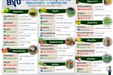 สถานการณ์ระบาดศัตรูพืชสำคัญ (ข้อมูลระหว่างวันที่ 10 – 16 พฤศจิกายน 2565)