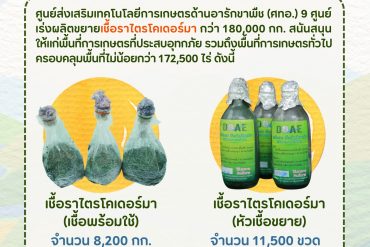 แบบจัดเก็บข้อมูลโครงการระบบส่งเสริมเกษตรแบบแปลงใหญ่ ปี 2566