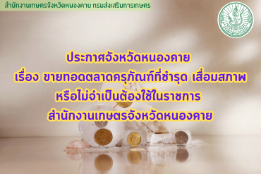 24 พฤษภาคม วันป่าชุมชนแห่งชาติ