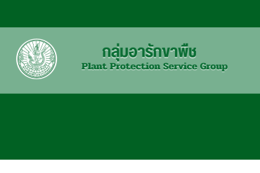 กลุ่มส่งเสริมและพัฒนาการผลิต
